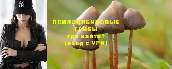 метадон Ладушкин