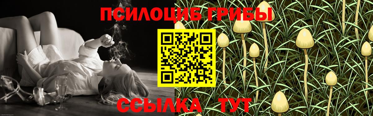 Псилоцибиновые грибы прущие грибы Черняховск