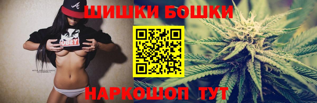 Конопля план Черняховск